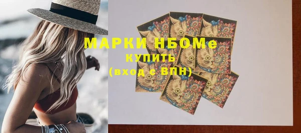 молекула духа Пестово