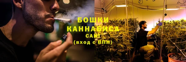 молекула духа Пестово
