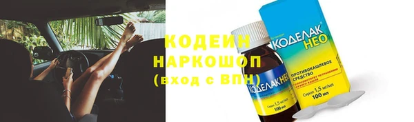 индика Янаул