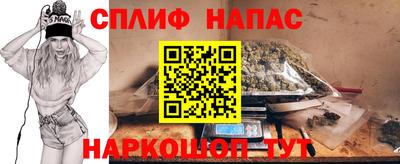 МДПВ Кингисепп