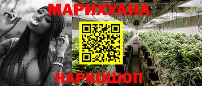 МДПВ Кингисепп