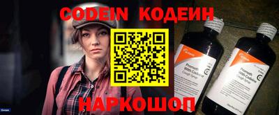 МДПВ Кингисепп