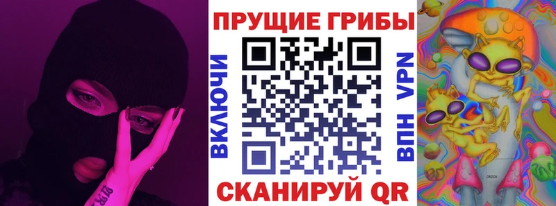 hydra ссылка  купить наркотик  Протвино  Псилоцибиновые грибы MAGIC MUSHROOMS 