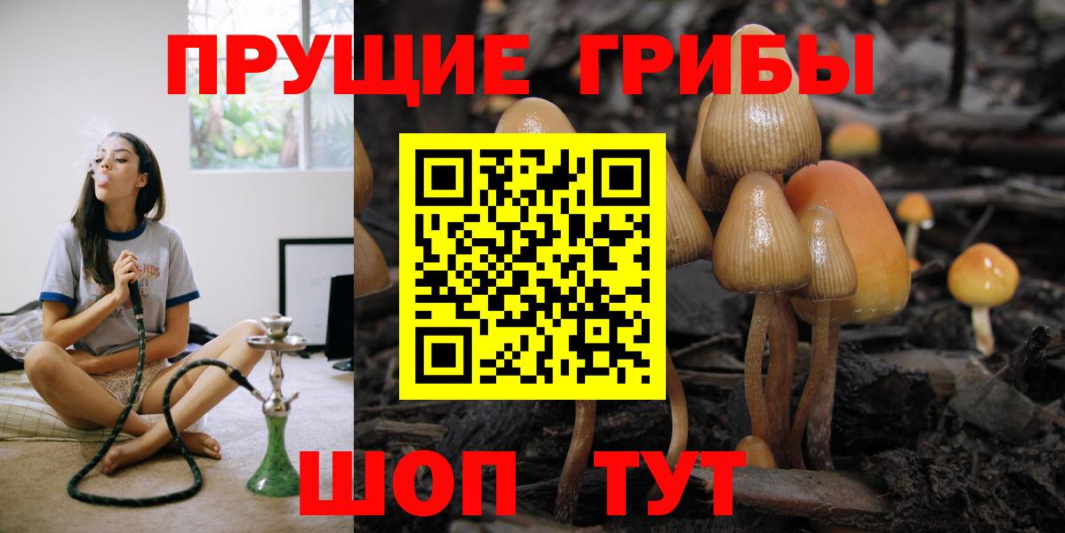 Псилоцибиновые грибы MAGIC MUSHROOMS  Вход с VPN  Псилоцибиновые грибы мицелий  наркота  Протвино 
